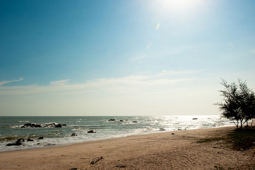 blog